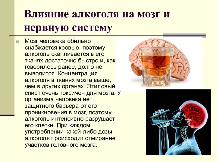 Влияние алкоголя на мозг и нервную систему Мозг человека обильно снабжается кровью,