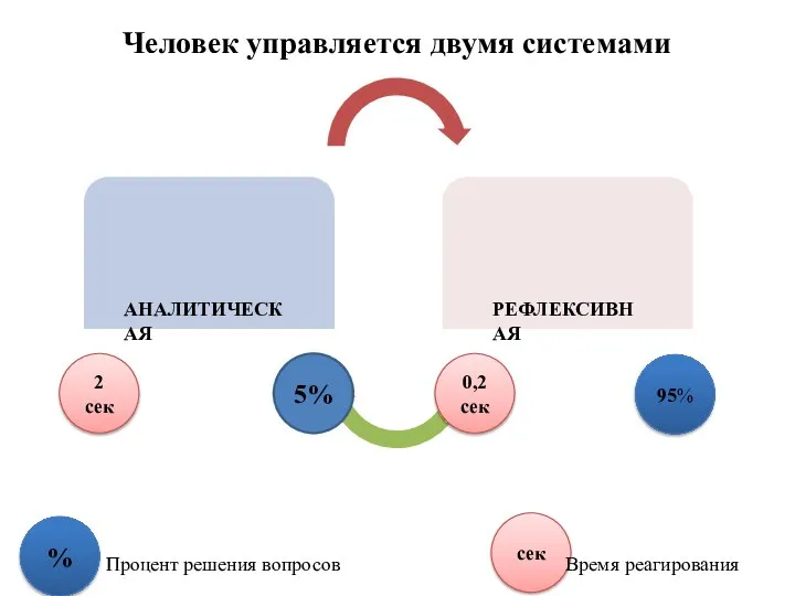 Человек управляется двумя системами АНАЛИТИЧЕСКАЯ РЕФЛЕКСИВНАЯ 5% 95% 2 сек 0,2 сек