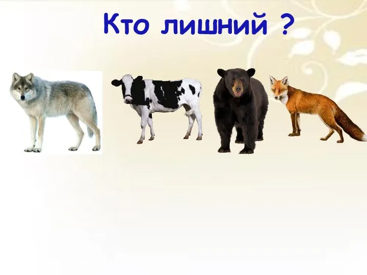 Кто лишний ?