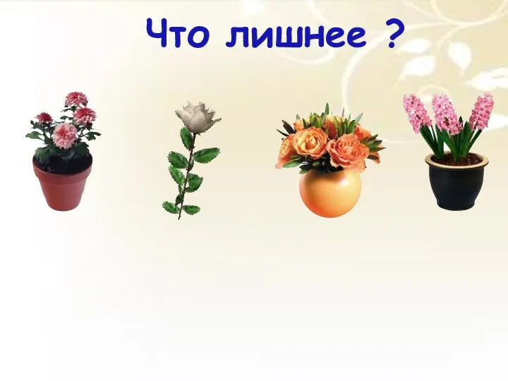 Что лишнее ?