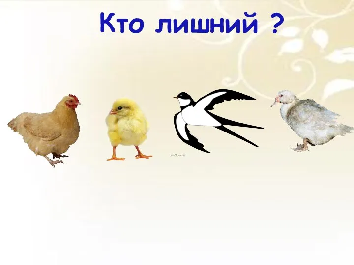 Кто лишний ?