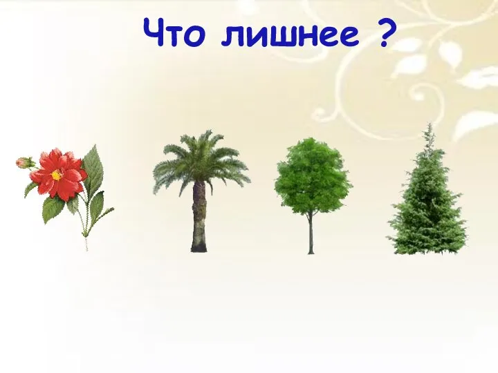 Что лишнее ?