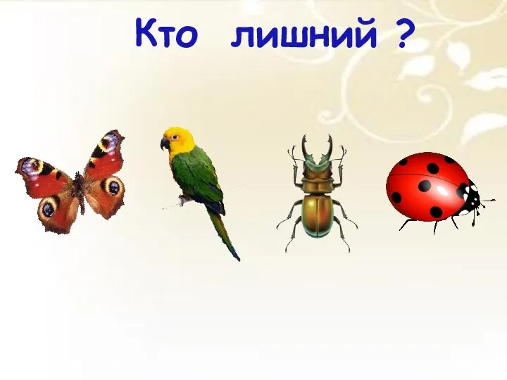 Кто лишний ?