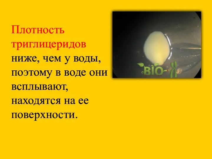 Плотность триглицеридов ниже, чем у воды, поэтому в воде они всплывают, находятся на ее поверхности.