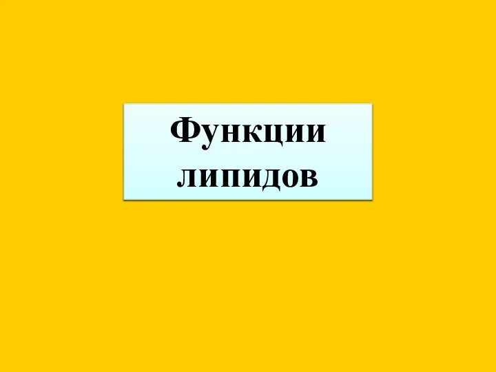 Функции липидов