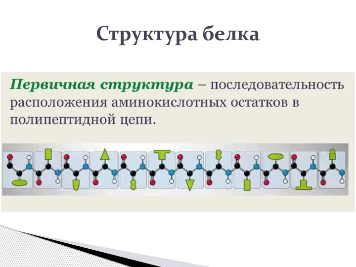 Структура белка