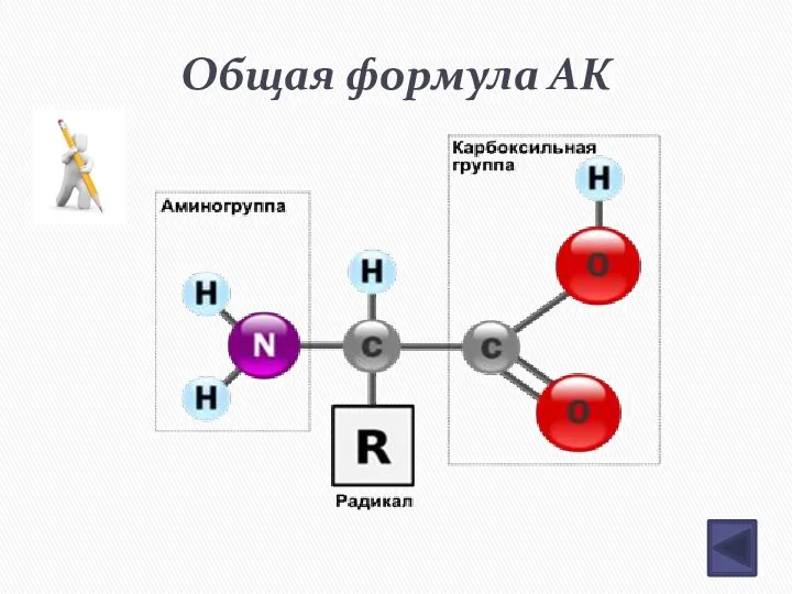 Общая формула АК