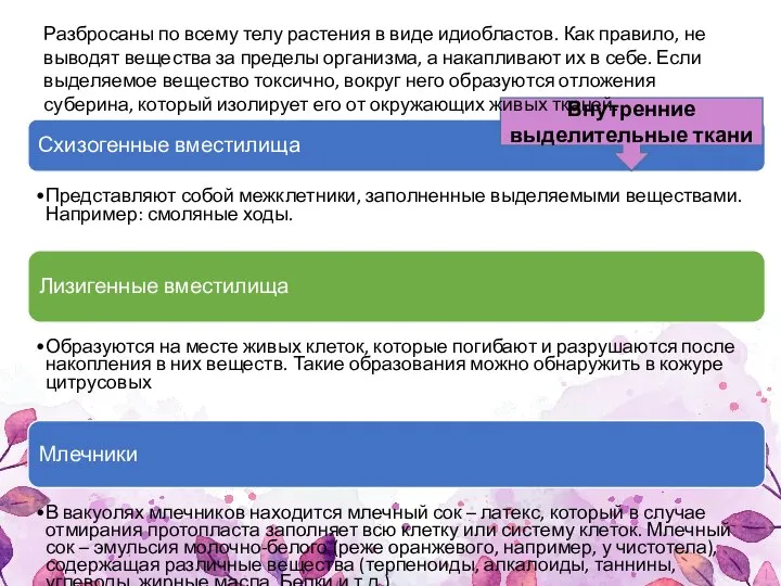 Схизогенные вместилища Представляют собой межклетники, заполненные выделяемыми веществами. Например: смоляные ходы. Лизигенные