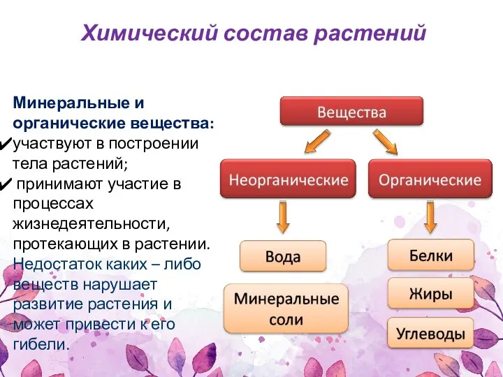 Химический состав растений Минеральные и органические вещества: участвуют в построении тела растений;