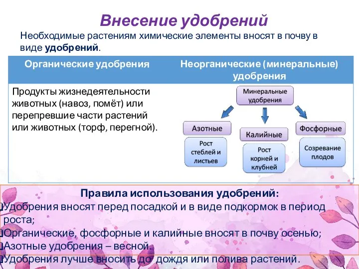 Необходимые растениям химические элементы вносят в почву в виде удобрений. Правила использования