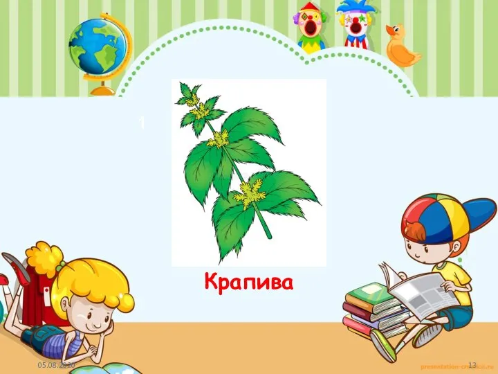 1 Крапива