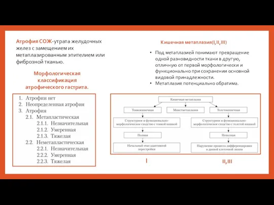 Атрофия СОЖ-утрата желудочных желез с замещением их метаплазированным эпителием или фиброзной тканью.