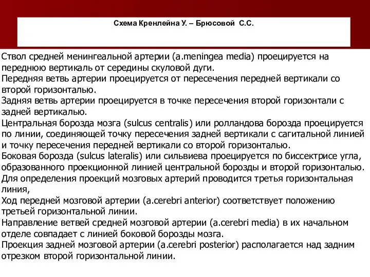 Схема Кренлейна У. – Брюсовой С.С. Ствол средней менингеальной артерии (a.meningea media)