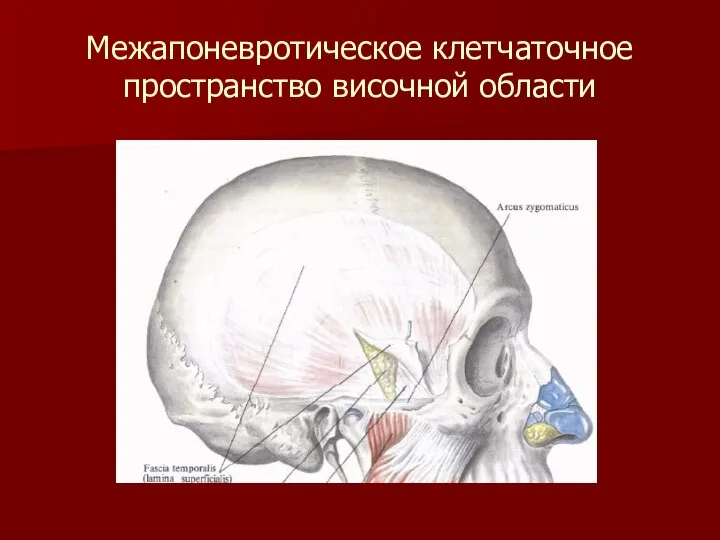 Межапоневротическое клетчаточное пространство височной области