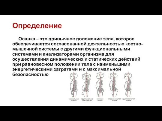 Определение Осанка – это привычное положение тела, которое обеспечивается согласованной деятельностью костно-мышечной