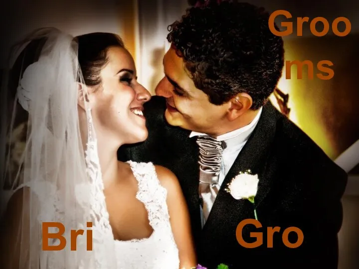 Bride Groom Grooms
