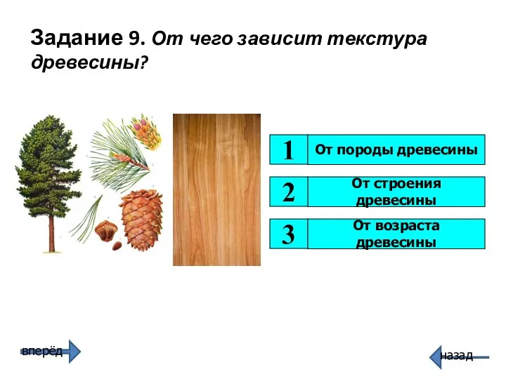 От строения древесины 1 3 2 От породы древесины От возраста древесины