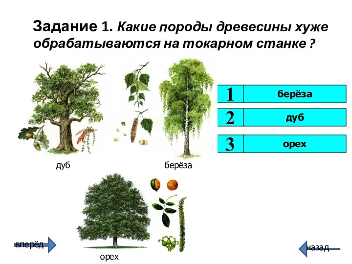 Задание 1. Какие породы древесины хуже обрабатываются на токарном станке ? дуб