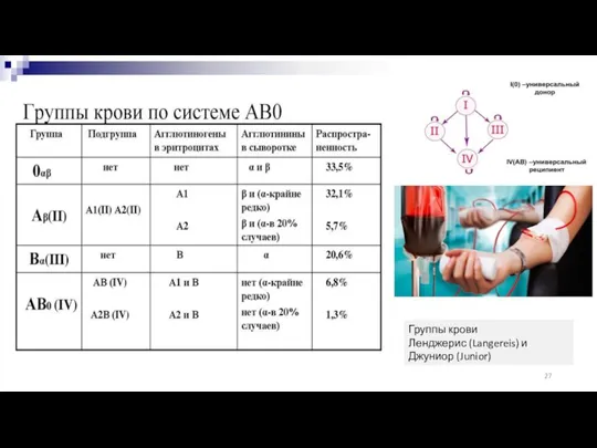 Группы крови Ленджерис (Langereis) и Джуниор (Junior)