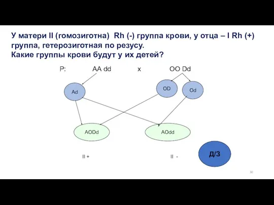 У матери II (гомозиготна) Rh (-) группа крови, у отца – I