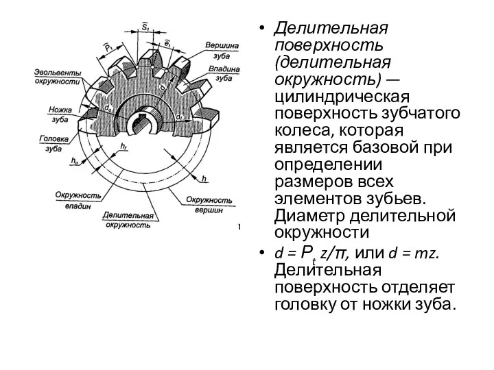 Делительная поверхность (делительная окружность) — цилиндрическая поверхность зубчатого колеса, которая является базовой