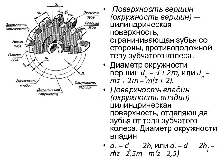 Поверхность вершин (окружность вершин) — цилиндрическая поверхность, ограничивающая зубья со стороны, противоположной