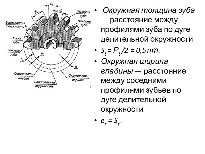 Окружная толщина зуба — расстояние между профилями зуба по дуге делительной окружности