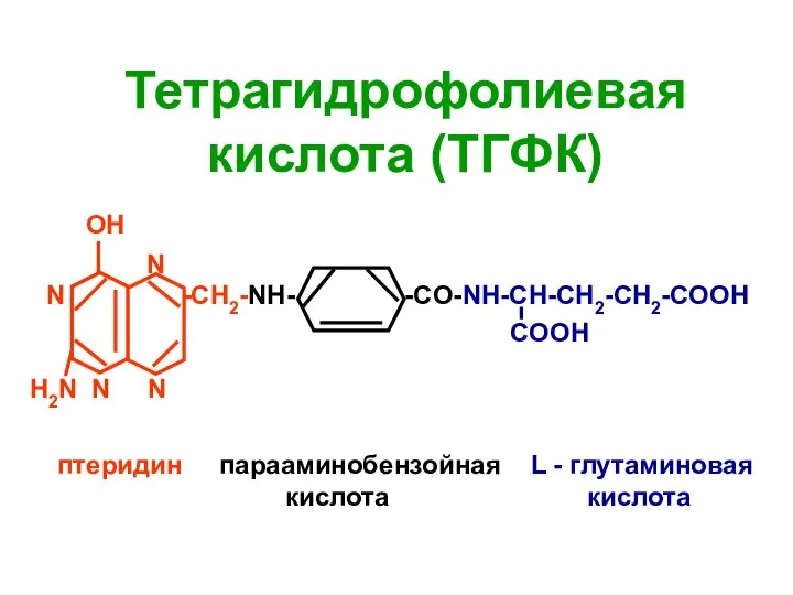 OH N N H2N N N -СН2-NH- -CО-NH-CH-CH2-CH2-COOH COOH Тетрагидрофолиевая кислота (ТГФК)