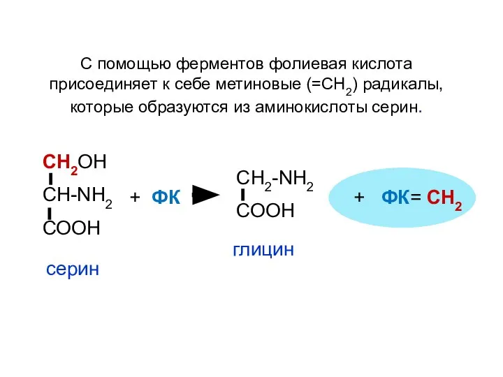 СН2ОН СН-NН2 СООН + ФК СН2-NН2 СООН + ФК= СН2 серин глицин