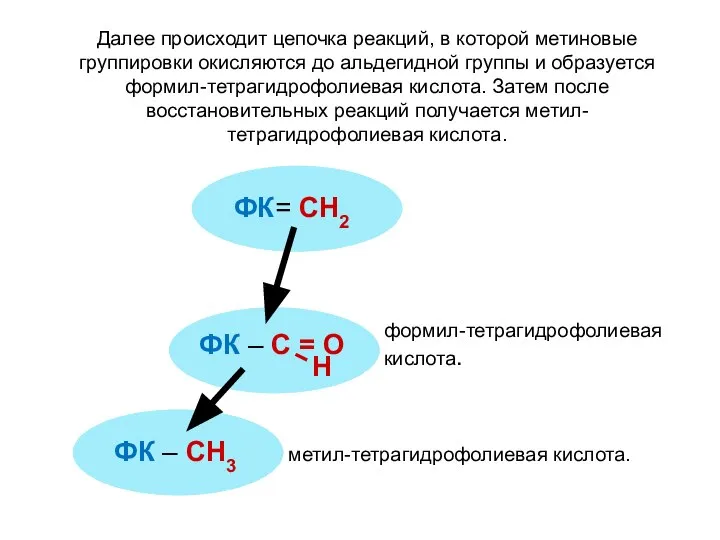 ФК= СН2 ФК – С = О Н ФК – СН3 Далее