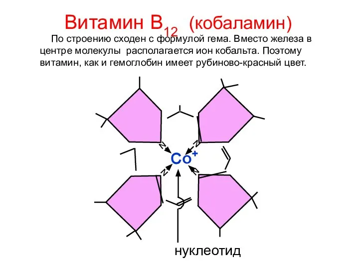 N N N N Со+ нуклеотид Витамин В12 (кобаламин) По строению сходен