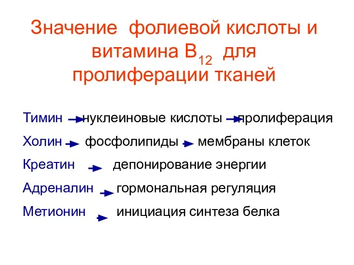 Тимин нуклеиновые кислоты пролиферация Холин фосфолипиды мембраны клеток Креатин депонирование энергии Адреналин