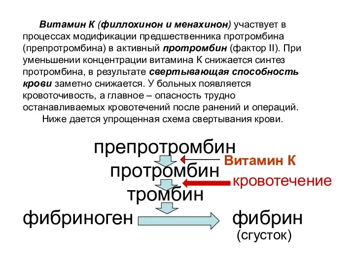 препротромбин протромбин тромбин фибриноген фибрин Витамин К (сгусток) кровотечение Витамин К (филлохинон