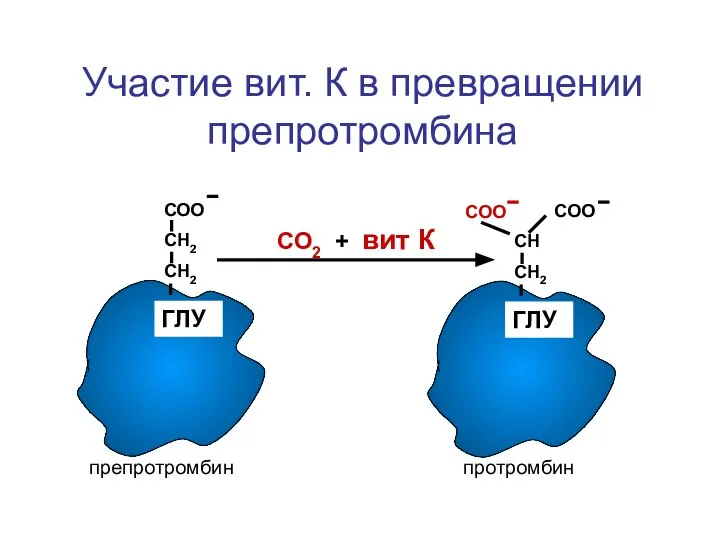 СОО СН2 СН2 ГЛУ СОО СН СН2 ГЛУ СОО СО2 + вит