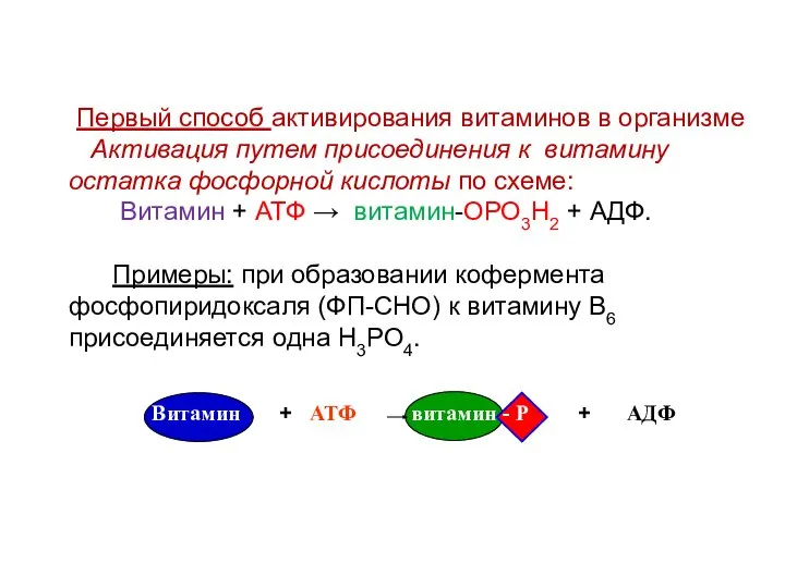 Витамин + АТФ витамин - Р + АДФ Первый способ активирования витаминов