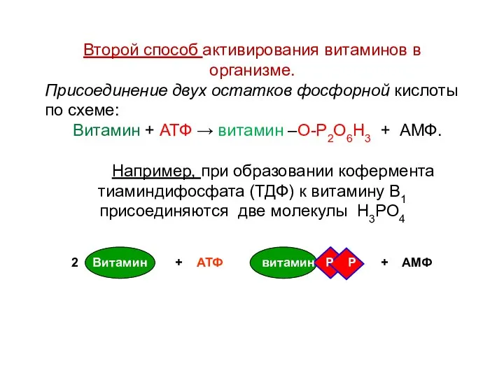 Второй способ активирования витаминов в организме. Присоединение двух остатков фосфорной кислоты по