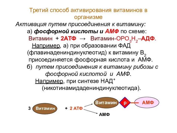 Третий способ активирования витаминов в организме Активация путем присоединения к витамину: а)