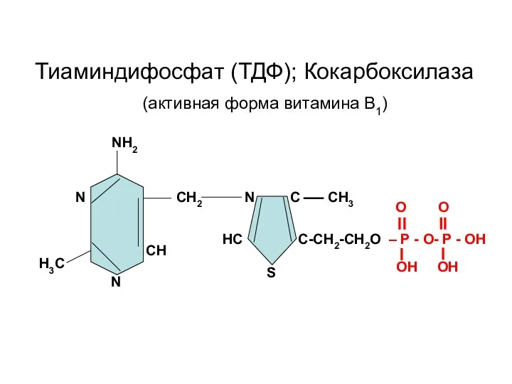 NH2 N CH2 N C CH3 HC C-CH2-CH2O – Р - О-