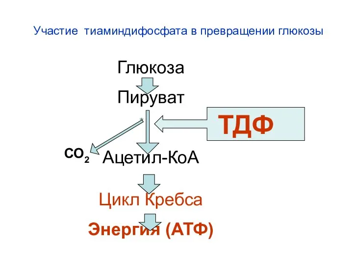 Глюкоза Пируват Ацетил-КоА Цикл Кребса Энергия (АТФ) ТДФ Участие тиаминдифосфата в превращении глюкозы СО2