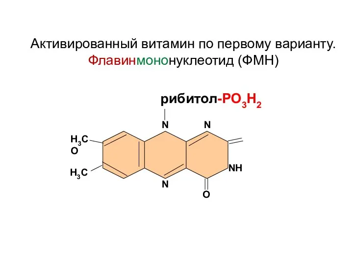 N N Н3С О NH Н3С N O рибитол-РО3Н2 Активированный витамин по первому варианту. Флавинмононуклеотид (ФМН)