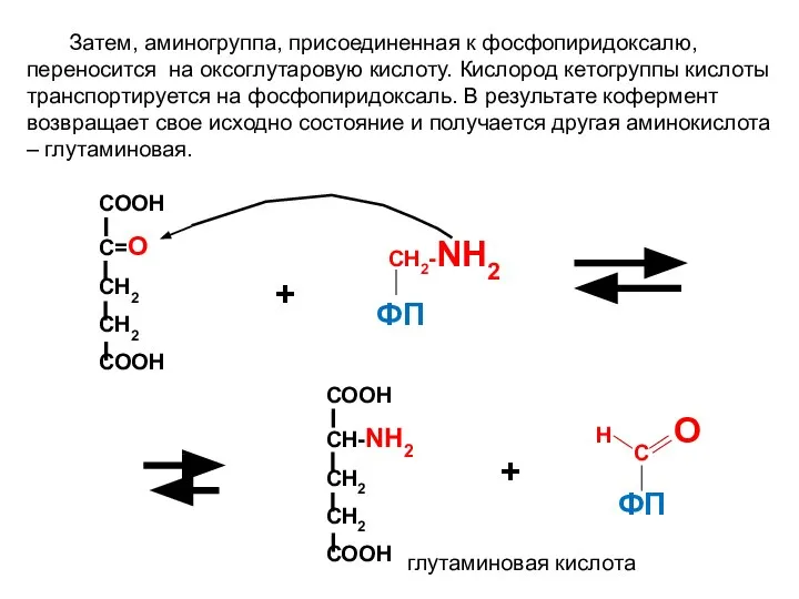 Н О С СН2-NH2 + СООН С=О СН2 СН2 СООН + СООН