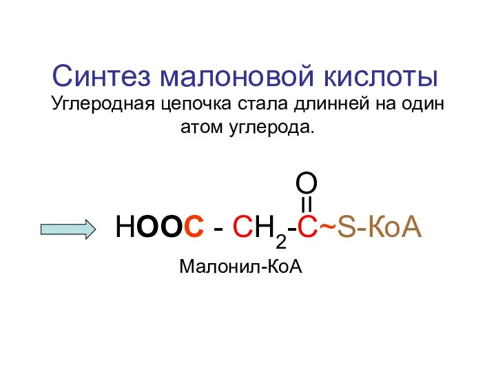 НООС - СН2-С~S-КоА Синтез малоновой кислоты Малонил-КоА О Углеродная цепочка стала длинней на один атом углерода.