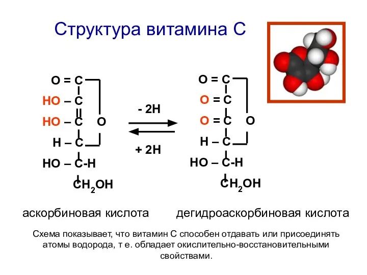 Структура витамина С О = С НО – С НО – С