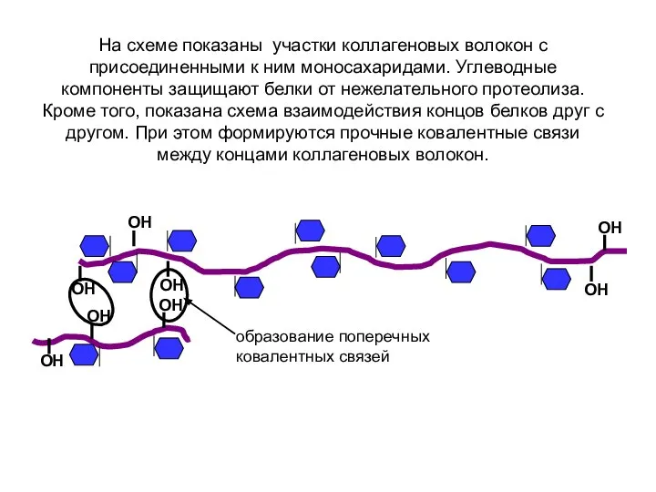 ОН ОН ОН ОН ОН ОН ОН ОН На схеме показаны участки