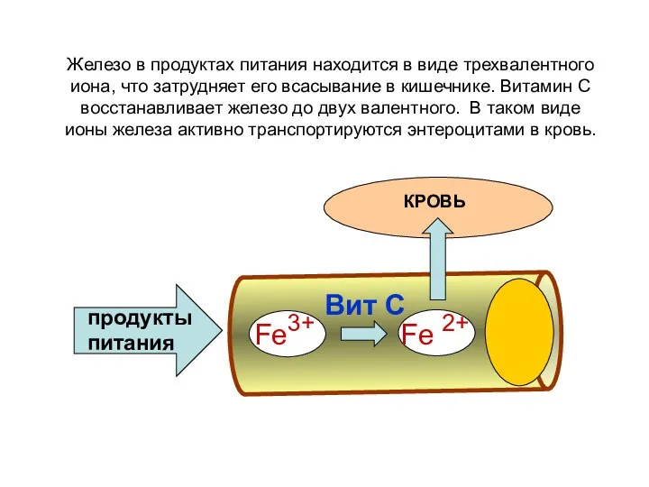 Железо в продуктах питания находится в виде трехвалентного иона, что затрудняет его