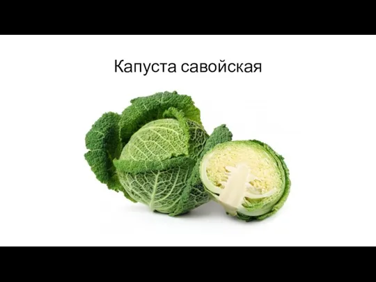 Капуста савойская