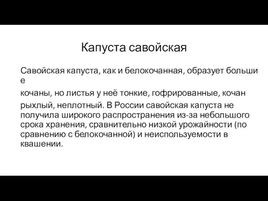 Капуста савойская Савойская капуста, как и белокочанная, образует большие кочаны, но листья