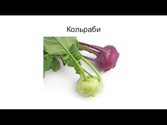 Кольраби