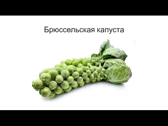 Брюссельская капуста