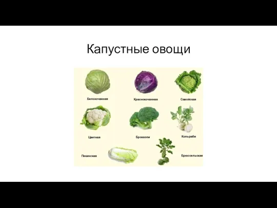 Капустные овощи